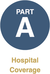 medicare-part-a-icon.png