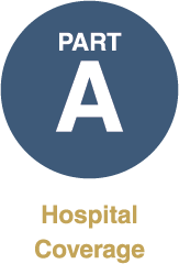 medicare-part-a-icon.png