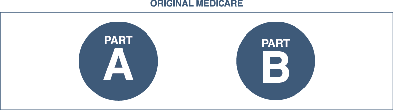original-medicare-icons.png
