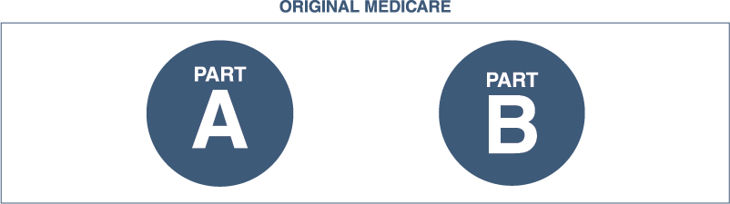 original-medicare-icons.png